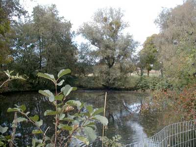 Schlo&szlig; Gr&uuml;nau