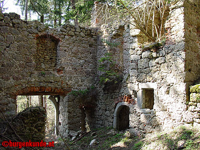 Burgruine Klingenberg / Nieder&ouml;sterreich