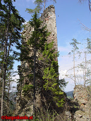 Burgruine Klingenberg / Nieder&ouml;sterreich