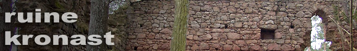 Ruine Kronast / Ober&ouml;sterreich