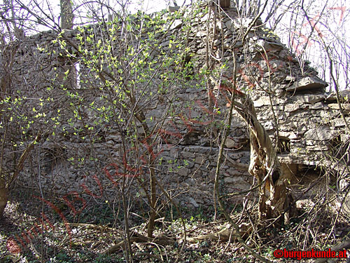 Schloss und Burg Luftenberg / Ober&ouml;sterreich