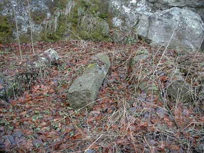 Schlo&szlig; Partenstein