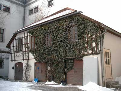 Schlo&szlig; Puchenau