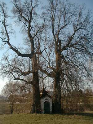 Schlo&szlig; Lichtenau