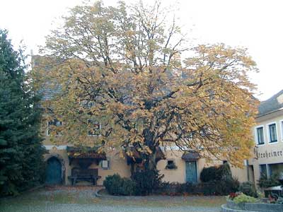Schlo&szlig; Stroheim