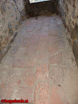 Ruine Waxenberg / Ober&ouml;sterreich