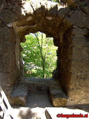 Ruine Windhaag / Ober&ouml;sterreich