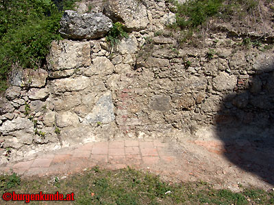 Ruine Windhaag / Ober&ouml;sterreich